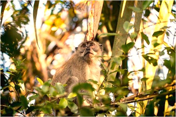 夢到了好多鬼飛是什麼徵兆_周公解夢官網