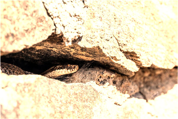 夢見買把勺子意味著什麼_周公解夢官網