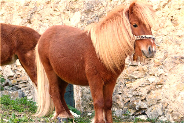 夢見自己的病重嚴重了會是什麼預兆_周公解夢官網