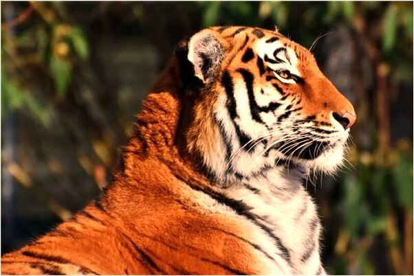 夢到了自己掉進髒水被爸爸救上來是什麼意思_周公解夢官網