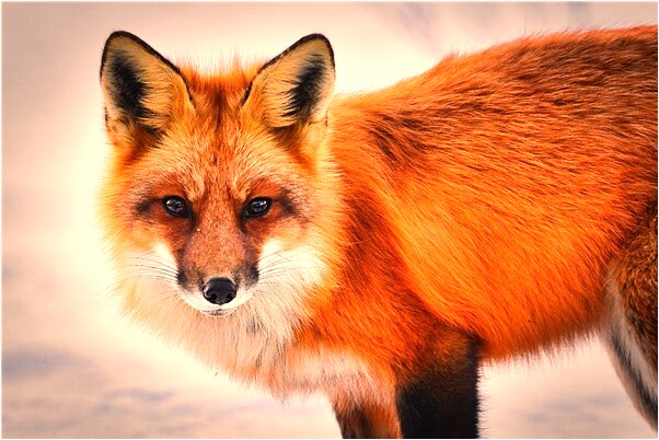 夢到從睡夢中驚嚇醒有什麼意義嗎_周公解夢官網