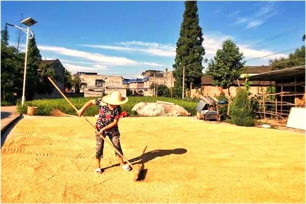 夢到了自己對鬼很開心有什麼含義_周公解夢官網
