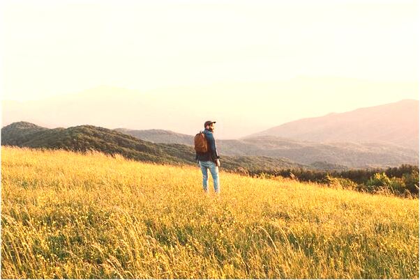 夢見別人臉被打腫是什麼預兆？_周公解夢官網