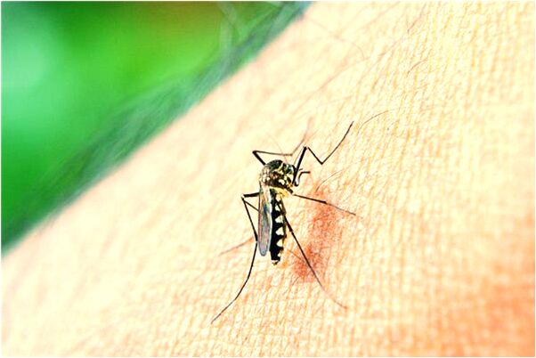 夢見已故單位親人再次去世是咋回事_周公解夢官網