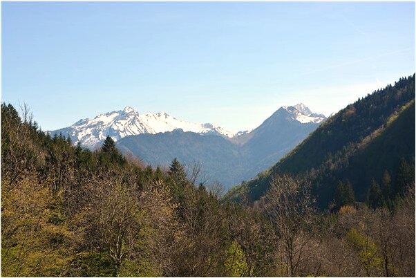 夢到了丟東西花錢是咋回事_周公解夢官網