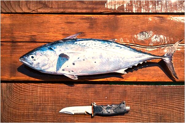 夢到了別人的屎到自己的身上意味著什麼_周公解夢官網