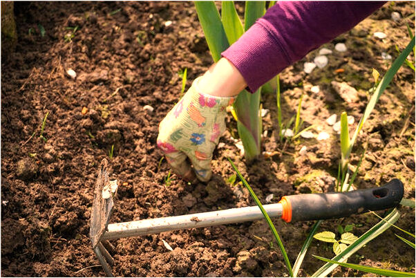 夢見淘金幣是什麼徵兆_周公解夢官網