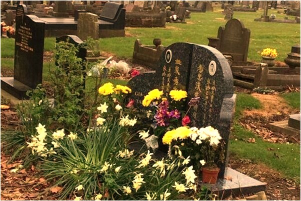 夢到很多白鴿很多人去捉有什麼寓意嗎_周公解夢官網