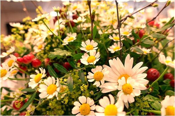 夢到了與同班異性關係是情侶會怎么樣_周公解夢官網