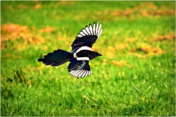 夢到自己死了變成魂魄會有什麼預兆_周公解夢官網