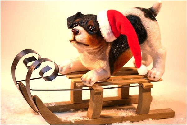 夢到了有女性朋友落體抱在一起意味什麼_周公解夢官網