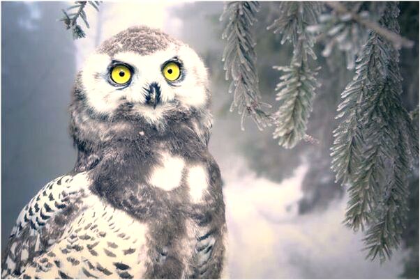 夢見女朋友光身幫別人做事是咋回事_周公解夢官網