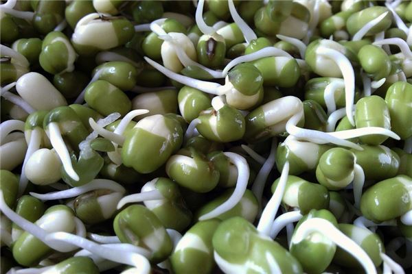 夢到種豆芽會有什麼預兆_周公解夢