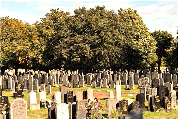 夢見前男友跟自己合好怎么回事_周公解夢官網