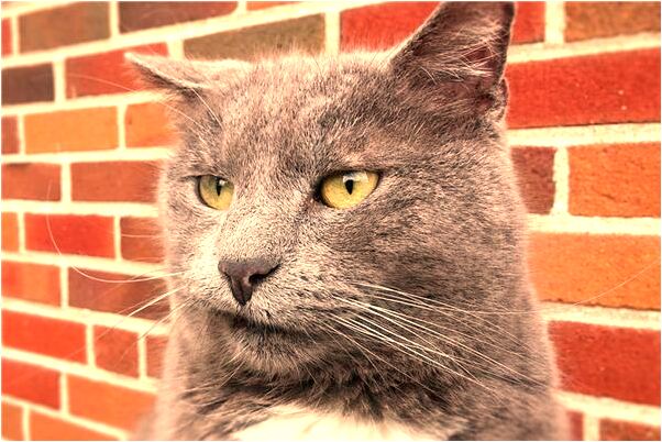 夢見給鬼接生有什麼徵兆_周公解夢官網