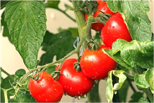 夢見和男朋友裸體抱在一起怎么樣_周公解夢官網