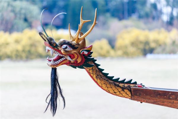 1976年男龍2021年運程_十二生肖