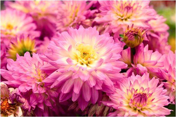 夢見腿被刺個窟窿啥意思_周公解夢官網