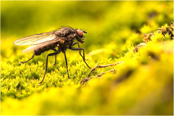 夢到了自家起墳有什麼說法_周公解夢官網