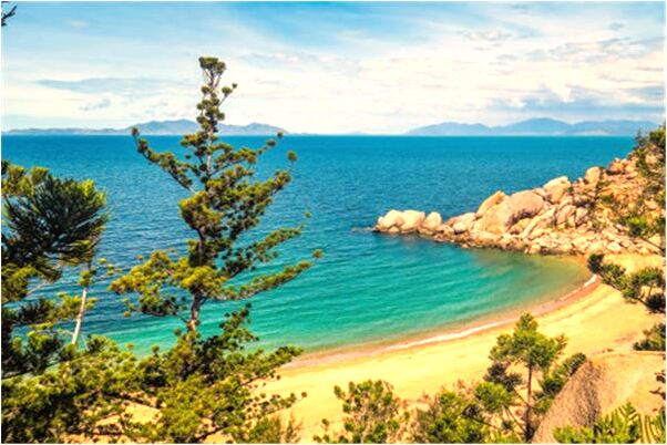 夢到家門口有蛇擋道是什麼預兆_周公解夢官網