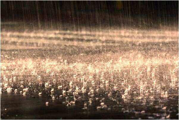 夢到了頭髮長得快啥意思_周公解夢官網