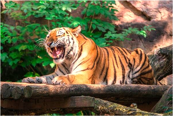 夢到在被子裡換衣服有什麼寓意嗎_周公解夢官網