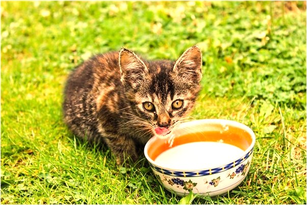 夢到爸爸牙齒掉光了是啥預兆_周公解夢官網