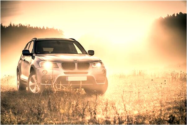 夢見黑鼻頭是啥意思_周公解夢官網