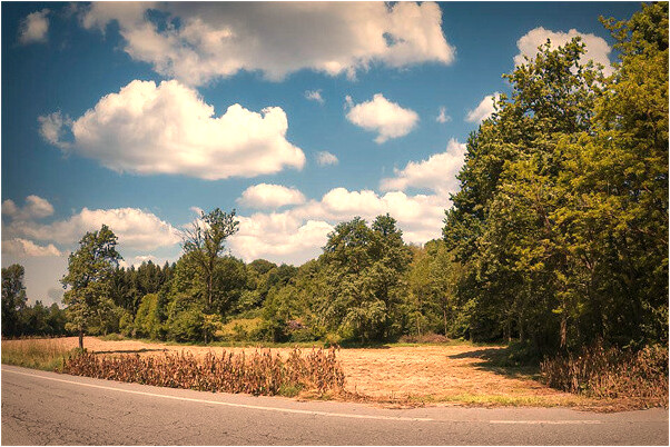 夢到了吃梨和棗意味著什麼_周公解夢官網