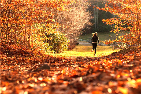 夢到大洪水裡有怪物什麼預兆_周公解夢官網