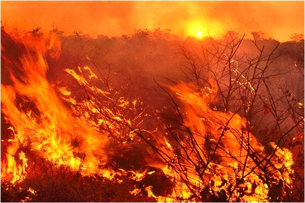夢到了欺負小朋友有何寓意_周公解夢官網