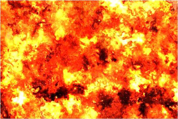 夢見床上有好多螞蟻是什麼徵兆_周公解夢官網