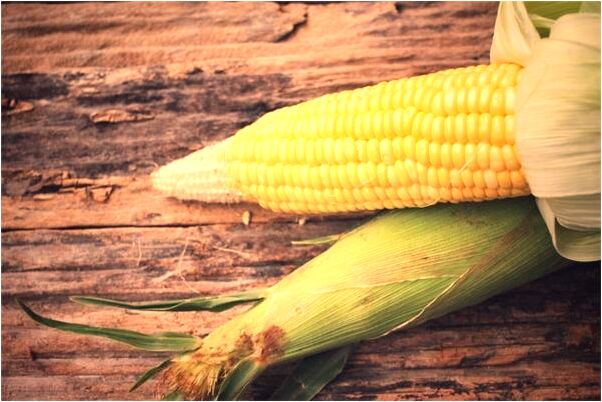 夢見逮住斑鳩啥意思_周公解夢官網