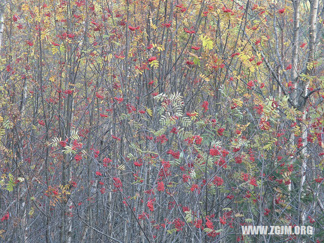 夢見黑臉女人_周公解夢夢到黑臉女人是什麼意思_做夢夢見黑臉女人好不好_周公解夢官網