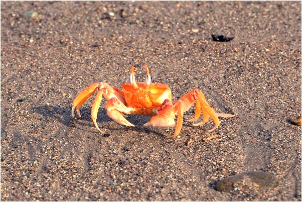 夢到已故的人掐住我的脖子有什麼意思_周公解夢官網