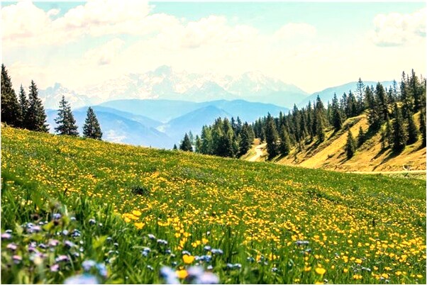 夢見陪別人上手術台是什麼意思_周公解夢官網