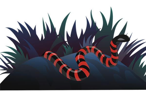 夢見捕蛇_周公解夢