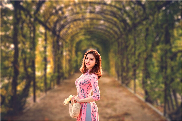 夢到別人殺豬很多血是什麼預兆_周公解夢官網