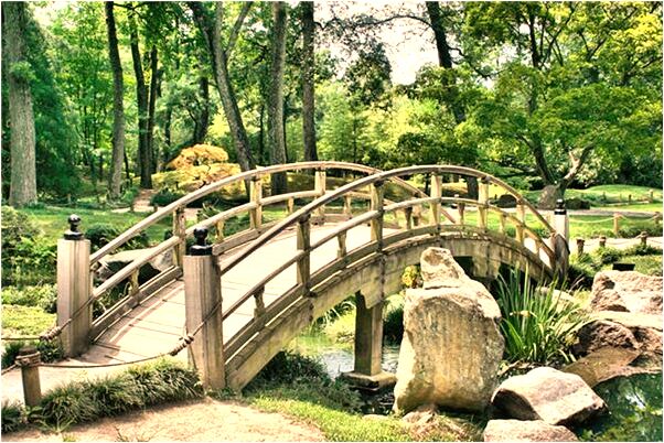 夢到和朋友吵架並打架啥意思_周公解夢官網