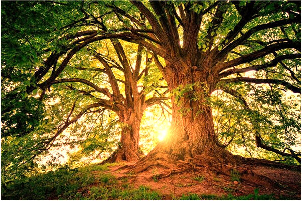 夢見現鈔一千萬是啥預兆_周公解夢官網