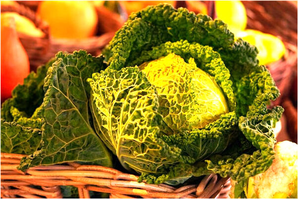 夢到馬圈著火了是好事還是壞事_周公解夢官網