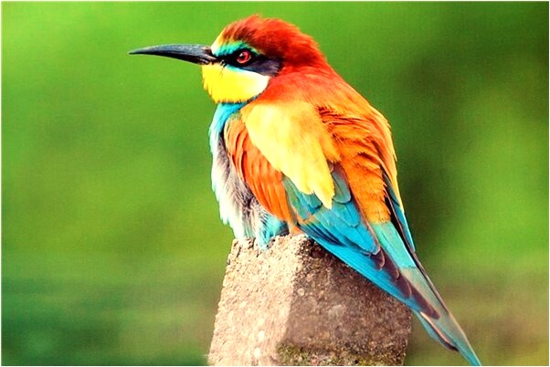 夢到挖墳看見棺材是凶兆還是吉兆_周公解夢官網