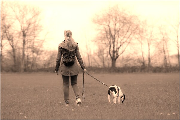 夢到了女兒借我車沒答應給她開預示著什麼_周公解夢官網