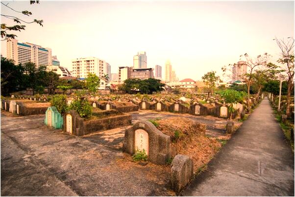 夢見蛇泡在酒罈子裡沒有死是怎么回事_周公解夢官網