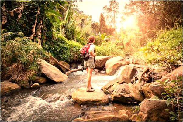 夢見看見河裡有好大的魚怎么樣_周公解夢官網