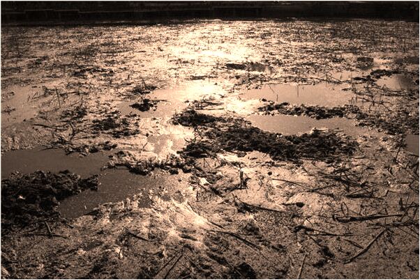 夢到了愛人騎機車帶我回家啥意思_周公解夢官網