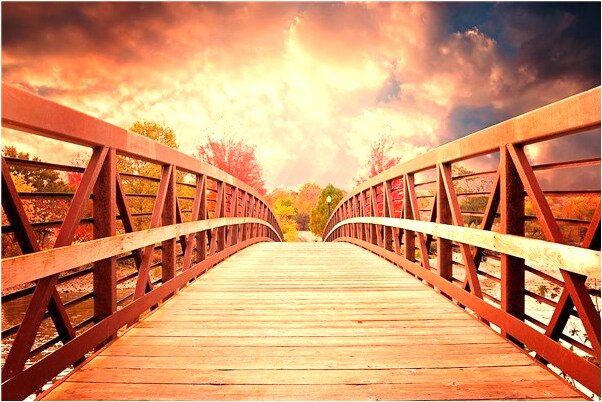 夢見思重病有什麼寓意嗎_周公解夢官網