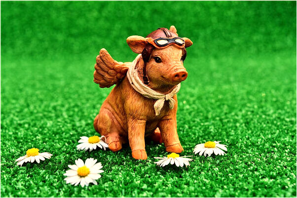 夢到了被黃鱔撞是什麼預兆_周公解夢官網