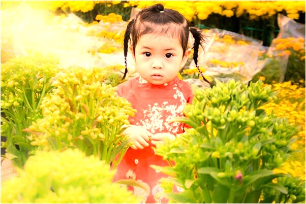 夢見粗壯的槐樹意味什麼_周公解夢官網