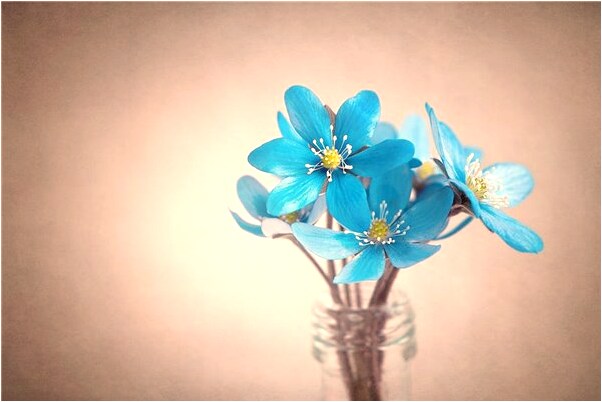 夢到了同性戀結婚給我紅包是什麼意思_周公解夢官網